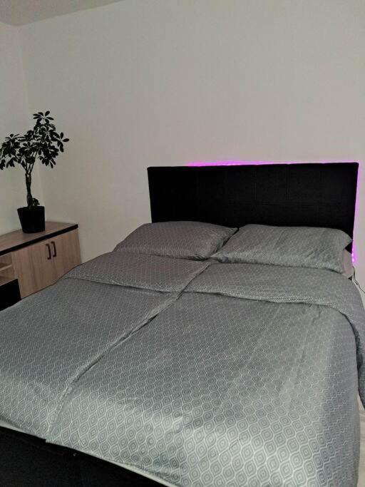 Apartament Na 4 Pietrze Neumarkt Exterior foto